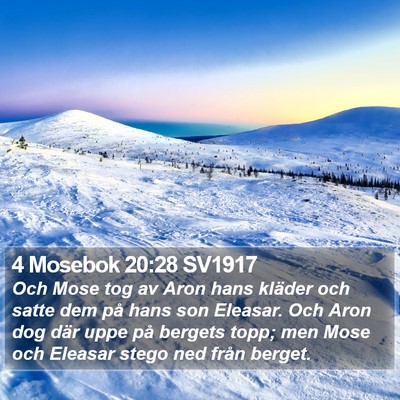 4 Mosebok 20:28 SV1917 Bible Verse Image