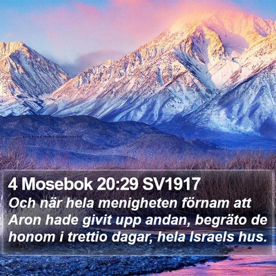 4 Mosebok 20:29 SV1917 Bible Verse Image
