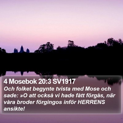 4 Mosebok 20:3 SV1917 Bible Verse Image