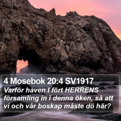 4 Mosebok 20:4 SV1917 Bible Verse Image