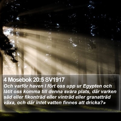 4 Mosebok 20:5 SV1917 Bible Verse Image