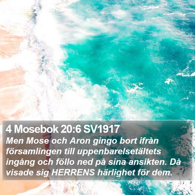 4 Mosebok 20:6 SV1917 Bible Verse Image