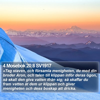 4 Mosebok 20:8 SV1917 Bible Verse Image