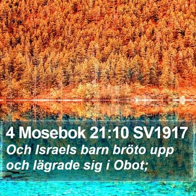 4 Mosebok 21:10 SV1917 Bible Verse Image