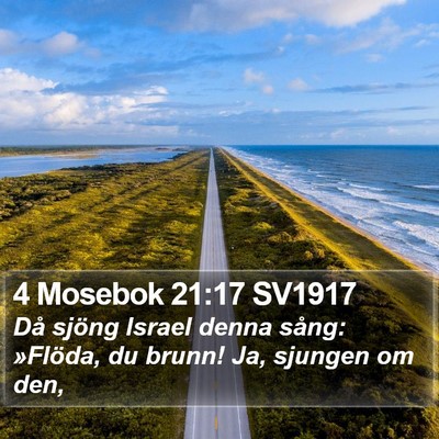 4 Mosebok 21:17 SV1917 Bible Verse Image