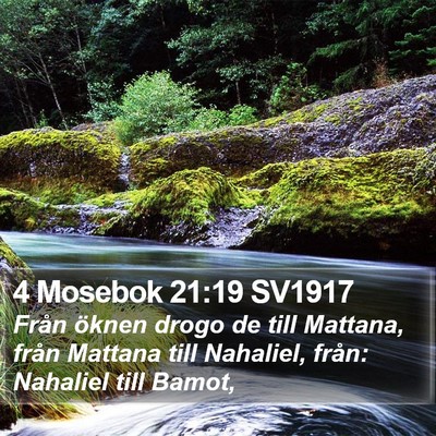 4 Mosebok 21:19 SV1917 Bible Verse Image