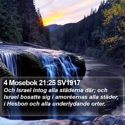 4 Mosebok 21:25 SV1917 Bible Verse Image
