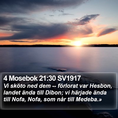 4 Mosebok 21:30 SV1917 Bible Verse Image