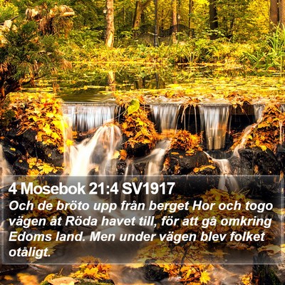 4 Mosebok 21:4 SV1917 Bible Verse Image