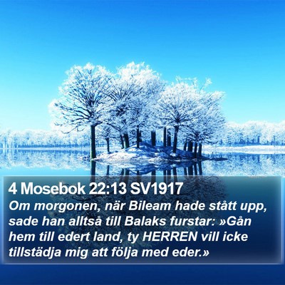 4 Mosebok 22:13 SV1917 Bible Verse Image