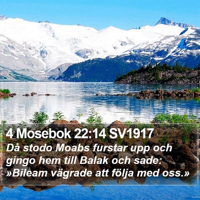 4 Mosebok 22:14 SV1917 Bible Verse Image