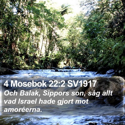 4 Mosebok 22:2 SV1917 Bible Verse Image