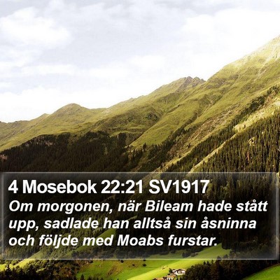 4 Mosebok 22:21 SV1917 Bible Verse Image