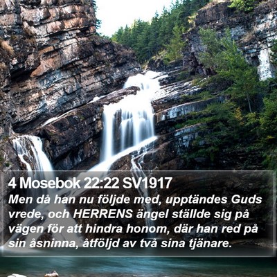 4 Mosebok 22:22 SV1917 Bible Verse Image