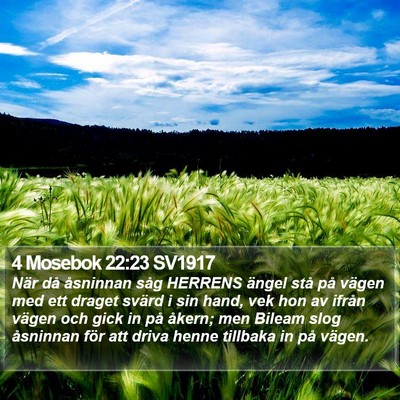 4 Mosebok 22:23 SV1917 Bible Verse Image
