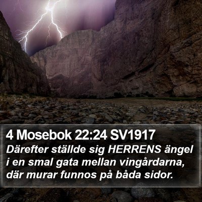 4 Mosebok 22:24 SV1917 Bible Verse Image