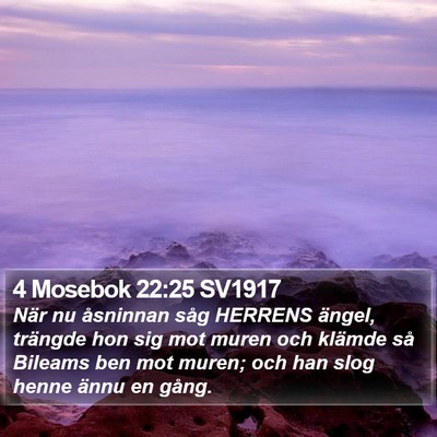 4 Mosebok 22:25 SV1917 Bible Verse Image