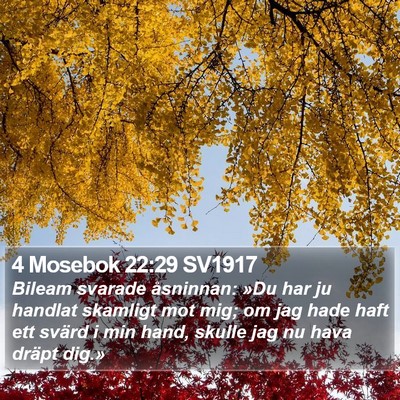 4 Mosebok 22:29 SV1917 Bible Verse Image