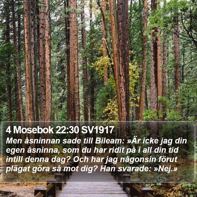 4 Mosebok 22:30 SV1917 Bible Verse Image