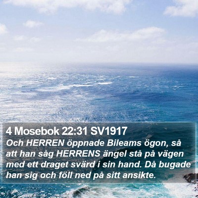 4 Mosebok 22:31 SV1917 Bible Verse Image