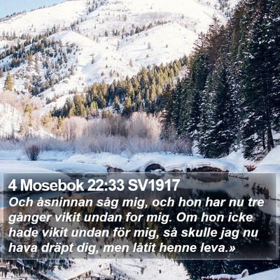 4 Mosebok 22:33 SV1917 Bible Verse Image