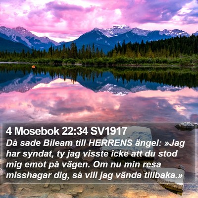4 Mosebok 22:34 SV1917 Bible Verse Image