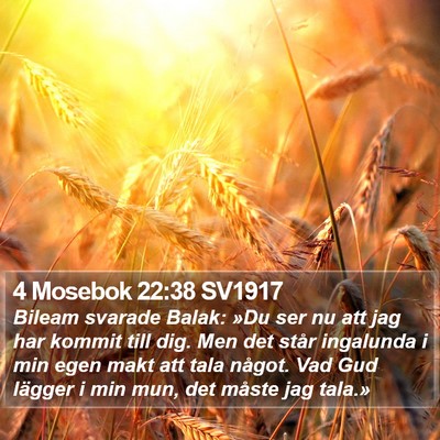 4 Mosebok 22:38 SV1917 Bible Verse Image