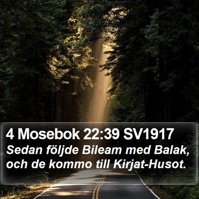4 Mosebok 22:39 SV1917 Bible Verse Image
