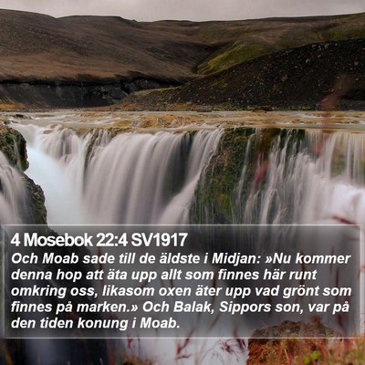 4 Mosebok 22:4 SV1917 Bible Verse Image
