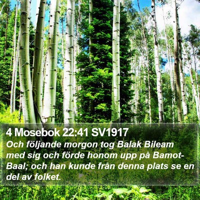 4 Mosebok 22:41 SV1917 Bible Verse Image