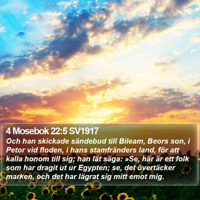 4 Mosebok 22:5 SV1917 Bible Verse Image