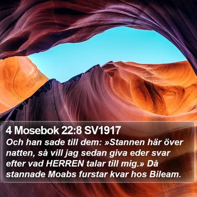 4 Mosebok 22:8 SV1917 Bible Verse Image