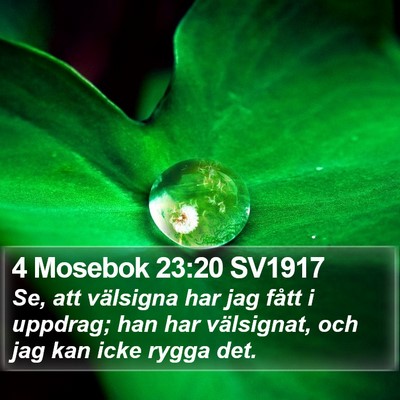 4 Mosebok 23:20 SV1917 Bible Verse Image
