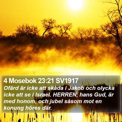 4 Mosebok 23:21 SV1917 Bible Verse Image