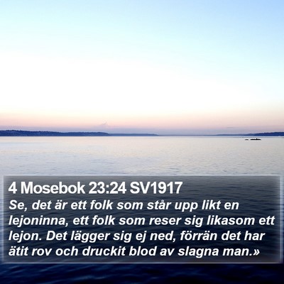 4 Mosebok 23:24 SV1917 Bible Verse Image