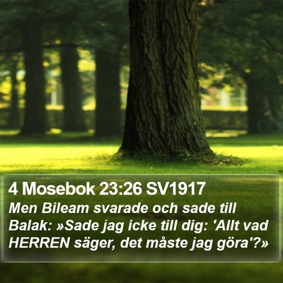 4 Mosebok 23:26 SV1917 Bible Verse Image