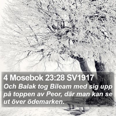 4 Mosebok 23:28 SV1917 Bible Verse Image