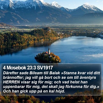 4 Mosebok 23:3 SV1917 Bible Verse Image