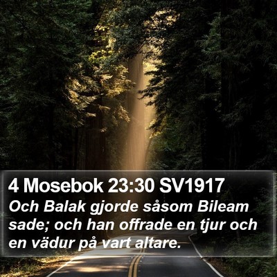 4 Mosebok 23:30 SV1917 Bible Verse Image