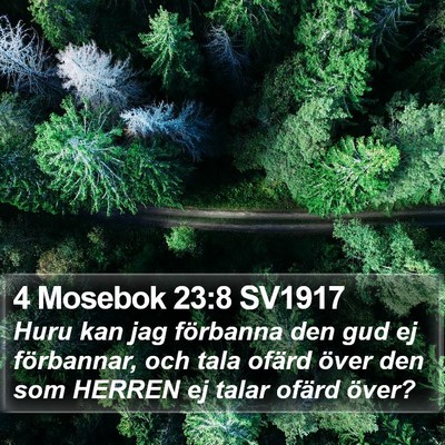 4 Mosebok 23:8 SV1917 Bible Verse Image