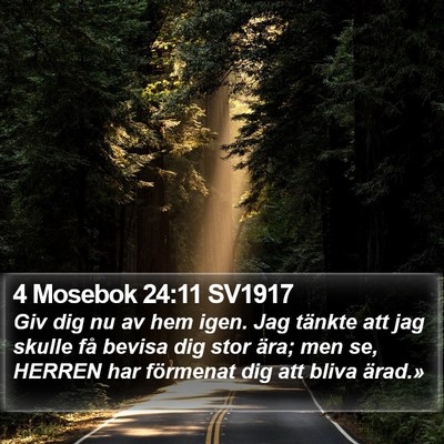 4 Mosebok 24:11 SV1917 Bible Verse Image