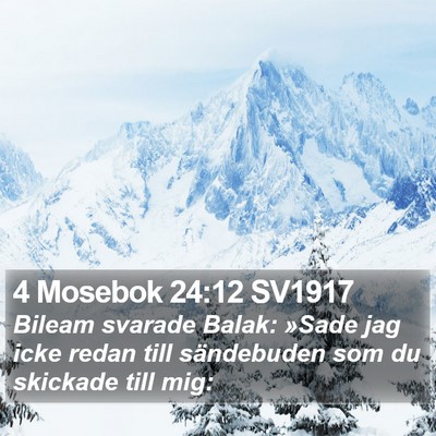 4 Mosebok 24:12 SV1917 Bible Verse Image