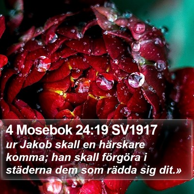 4 Mosebok 24:19 SV1917 Bible Verse Image