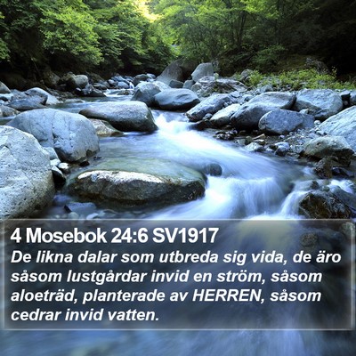 4 Mosebok 24:6 SV1917 Bible Verse Image