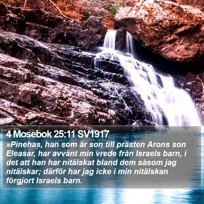 4 Mosebok 25:11 SV1917 Bible Verse Image