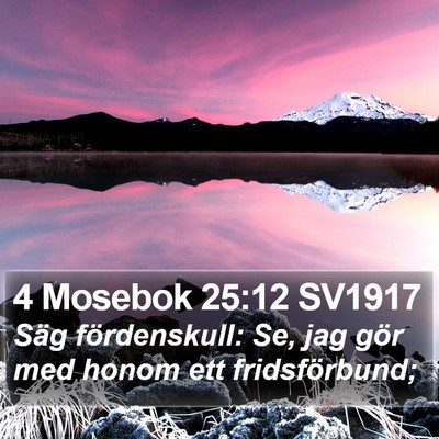4 Mosebok 25:12 SV1917 Bible Verse Image