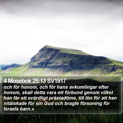 4 Mosebok 25:13 SV1917 Bible Verse Image