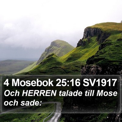 4 Mosebok 25:16 SV1917 Bible Verse Image