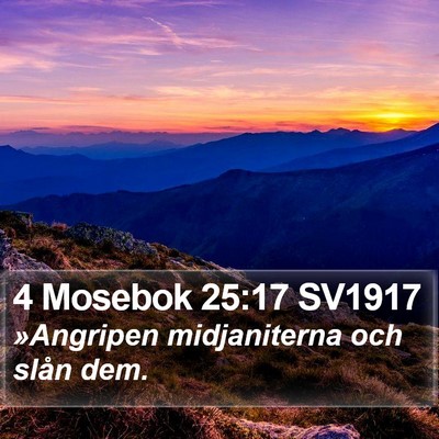 4 Mosebok 25:17 SV1917 Bible Verse Image
