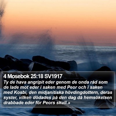 4 Mosebok 25:18 SV1917 Bible Verse Image